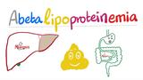脂蛋白缺乏血症 遗传性脂质代谢紊乱（脂质异常）