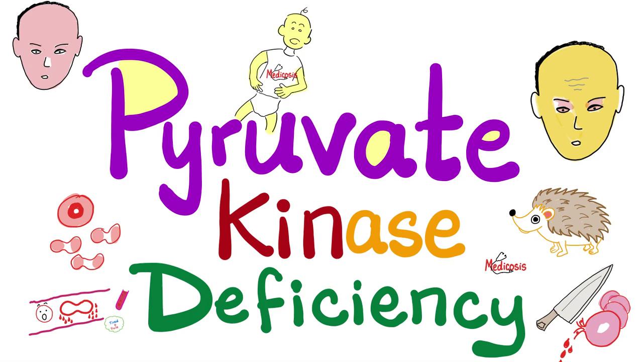 丙酮酸激酶缺乏症（溶血性贫血）