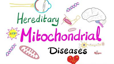 遗传性线粒体疾病