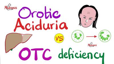 尿嘧啶酸尿症、CPS I缺乏与OTC缺乏