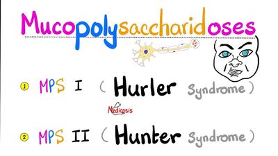 粘多糖贮积症（赫勒和亨特综合征）