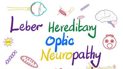 Leber遗传性视神经病变-线粒体疾病